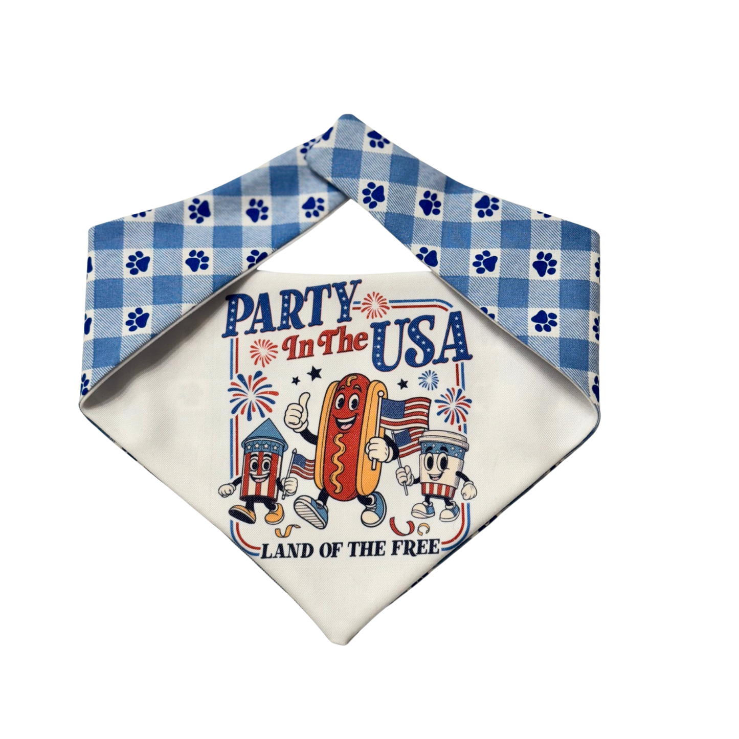Party in the USA