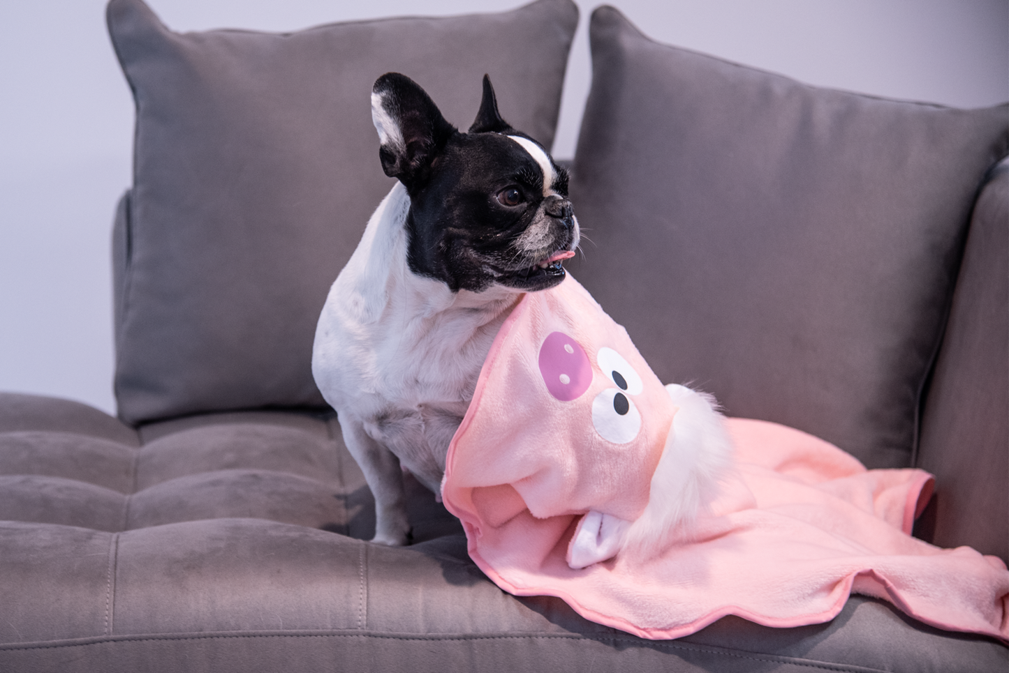 Pinky Piggy Blanket