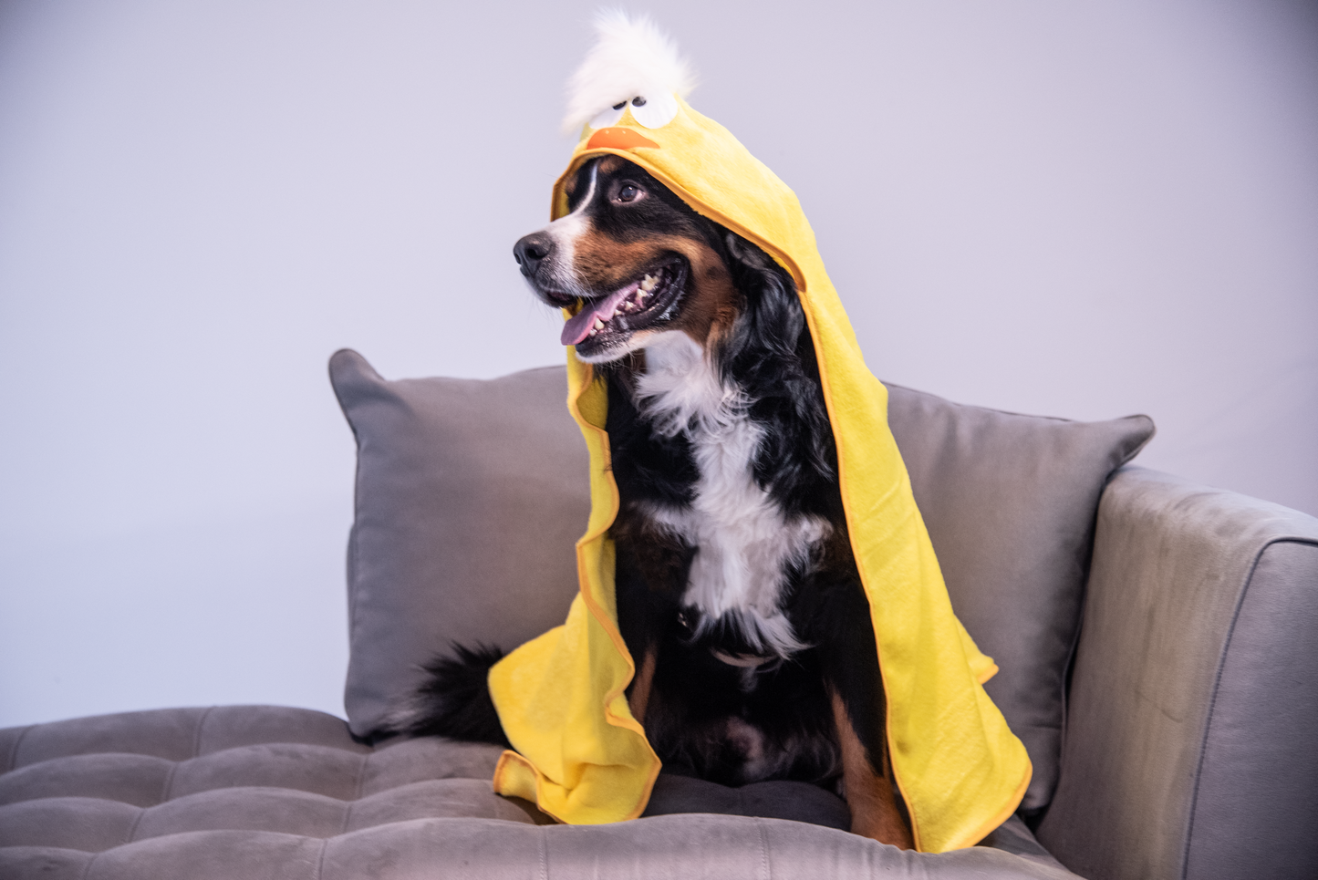 Ducky Blanket