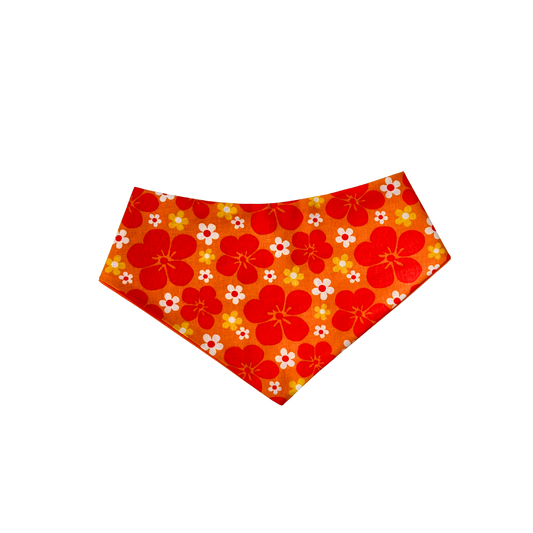 Aloha