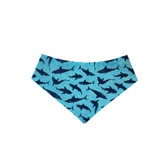 Sharks