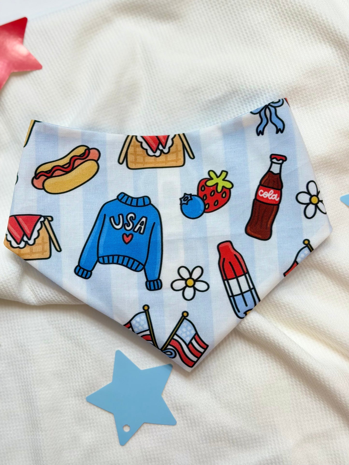 USA Picnic