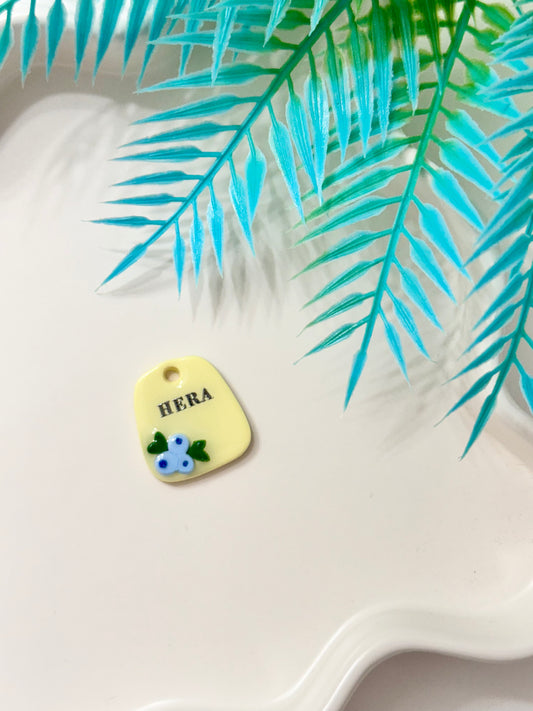 Blueberry Tag