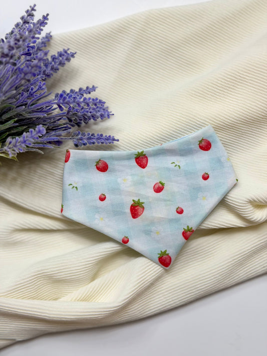 Strawberry Patch