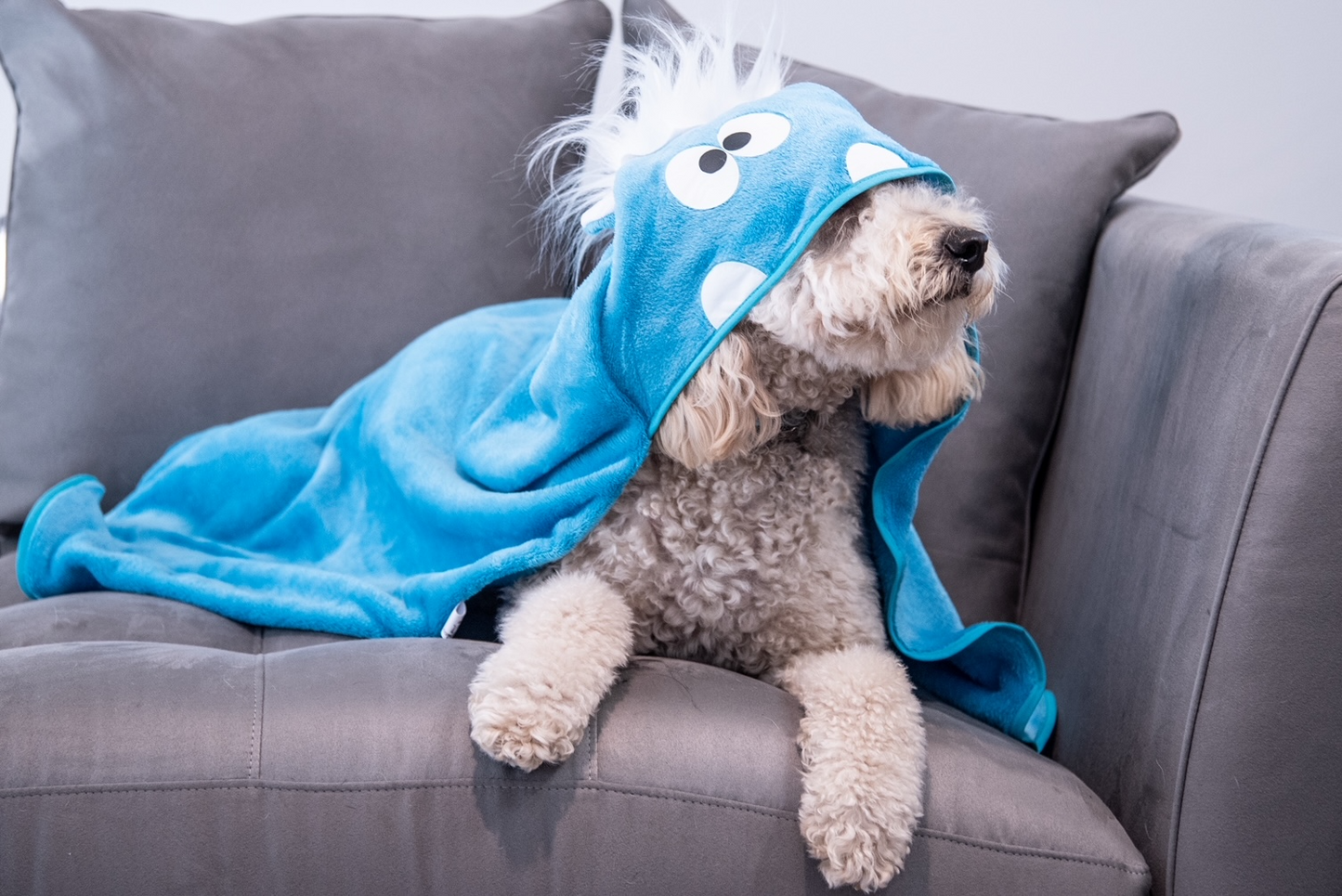 Blue Monster Blanket