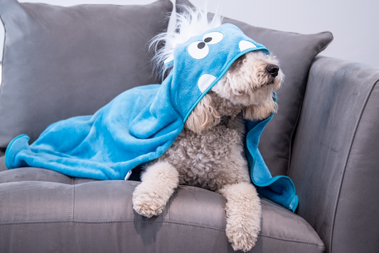 Blue Monster Blanket