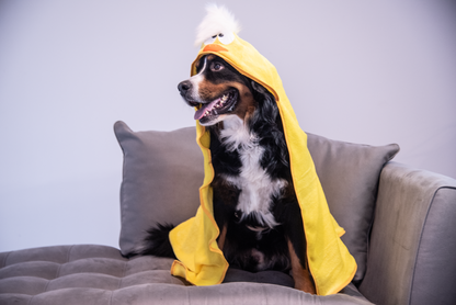Ducky Blanket